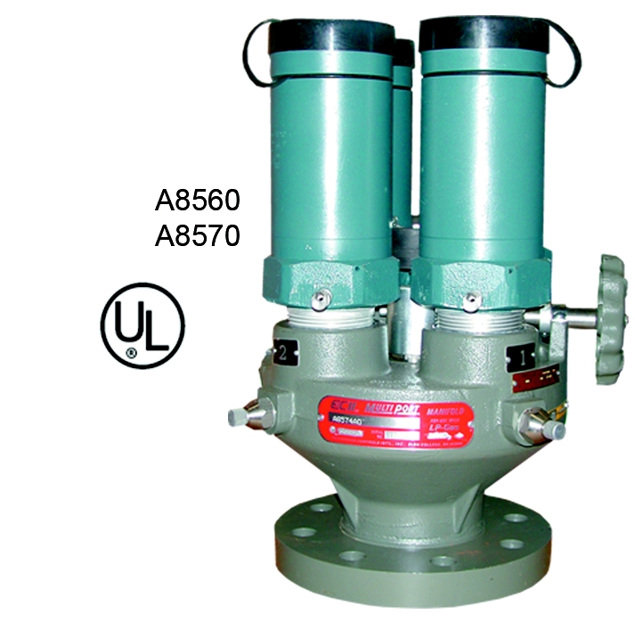 A8574G W/ ASME RATED RELIEF VALVES